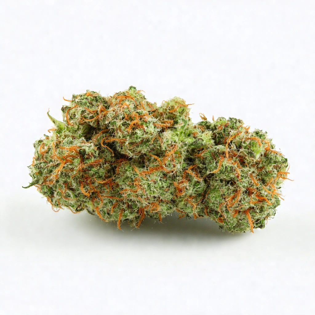 Critical Kali Mist Sativa Cannabis Strain