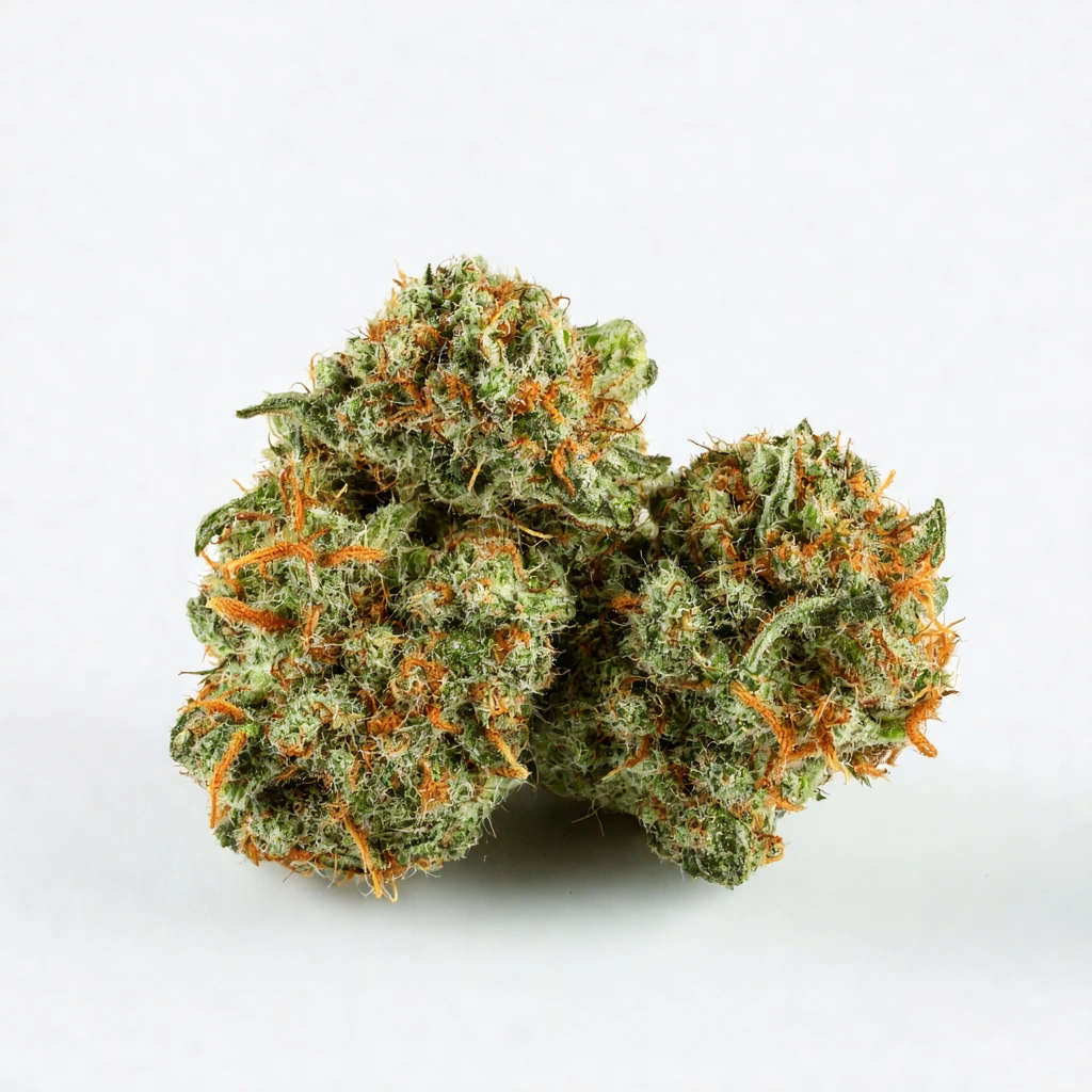 Dark Knight Hybrid Cannabis Strain