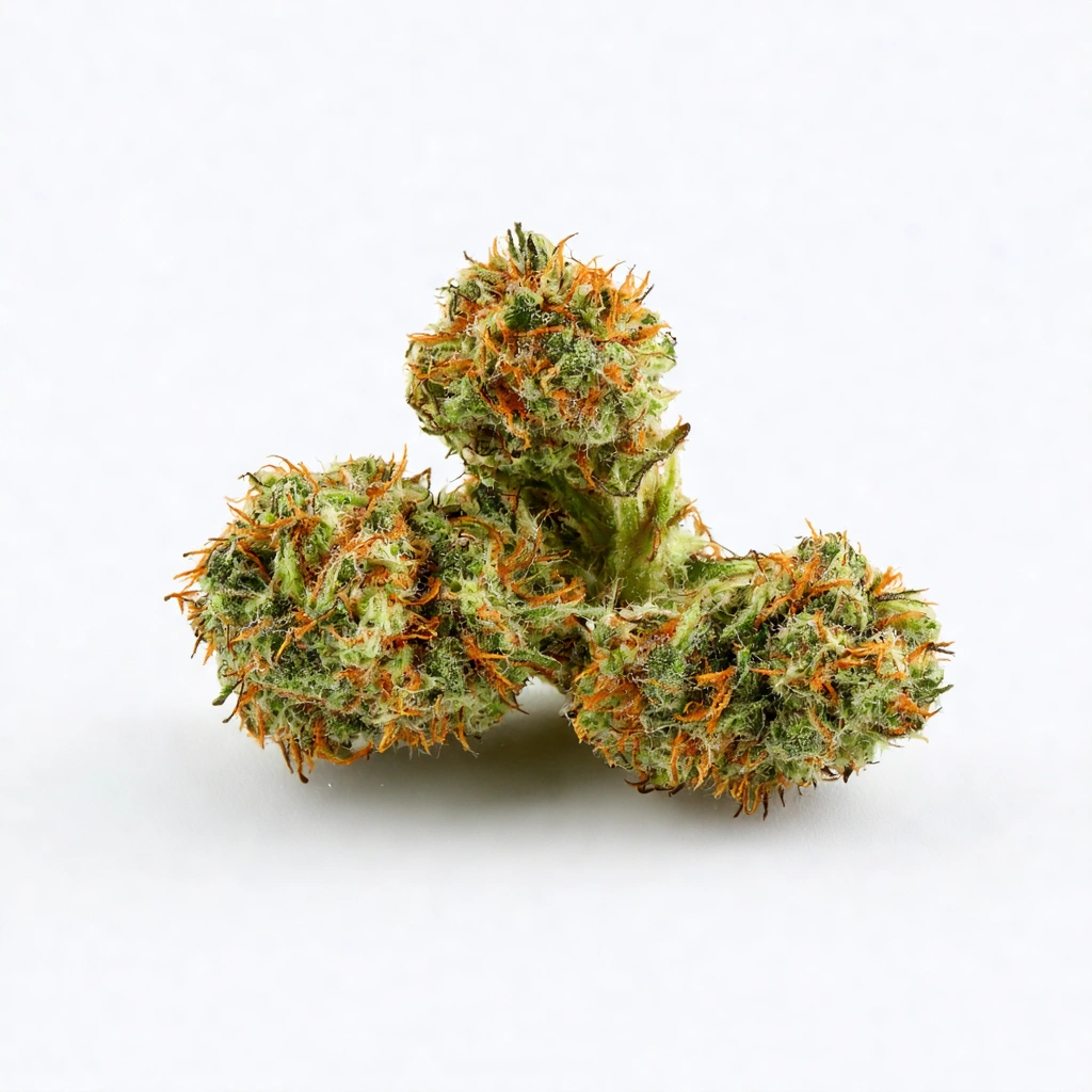 Dementia Sativa Cannabis Strain