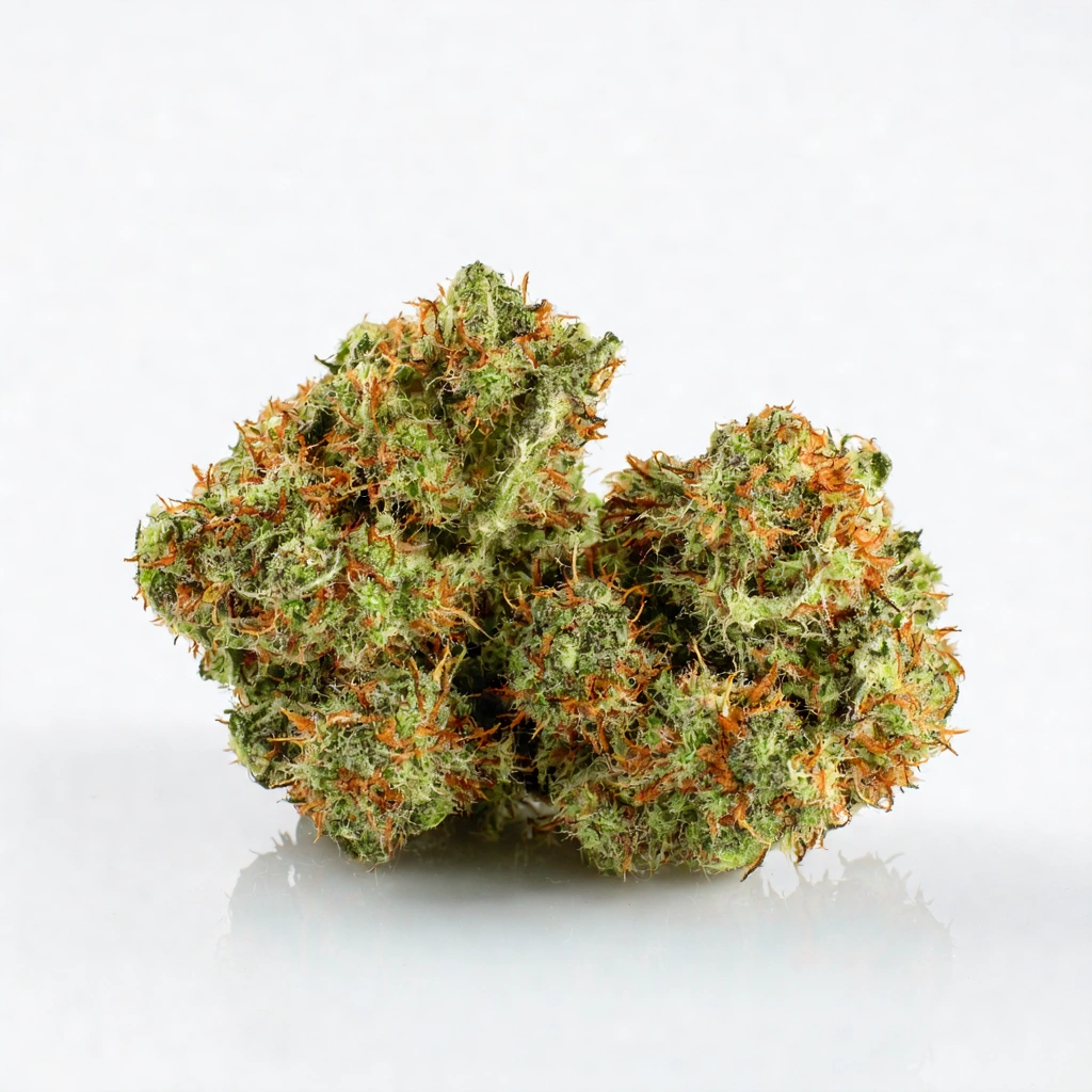 Detroit Runtz X Trop Runtz Hybrid Cannabis Strain