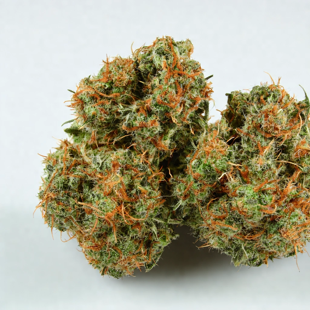 Dirty Hippy Hybrid Cannabis Strain