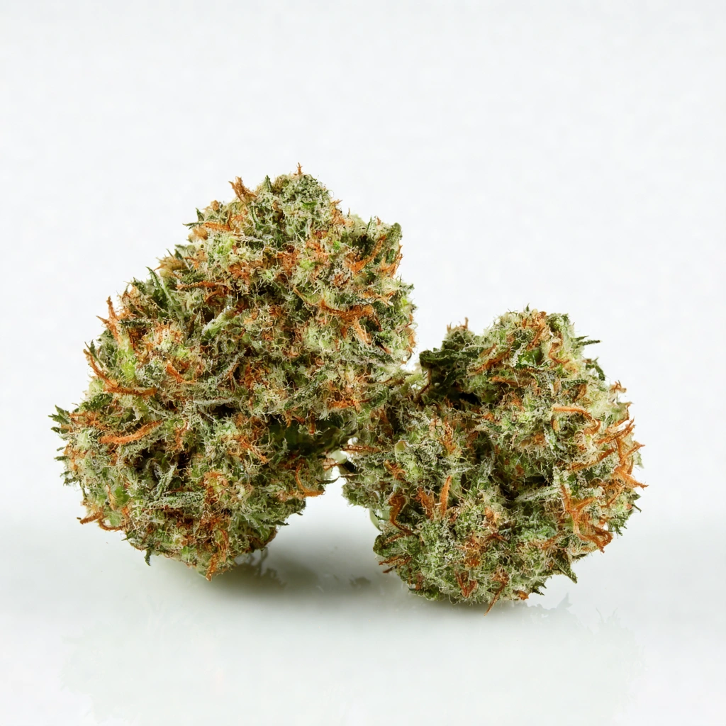 Early Queen Hybrid Cannabis Strain