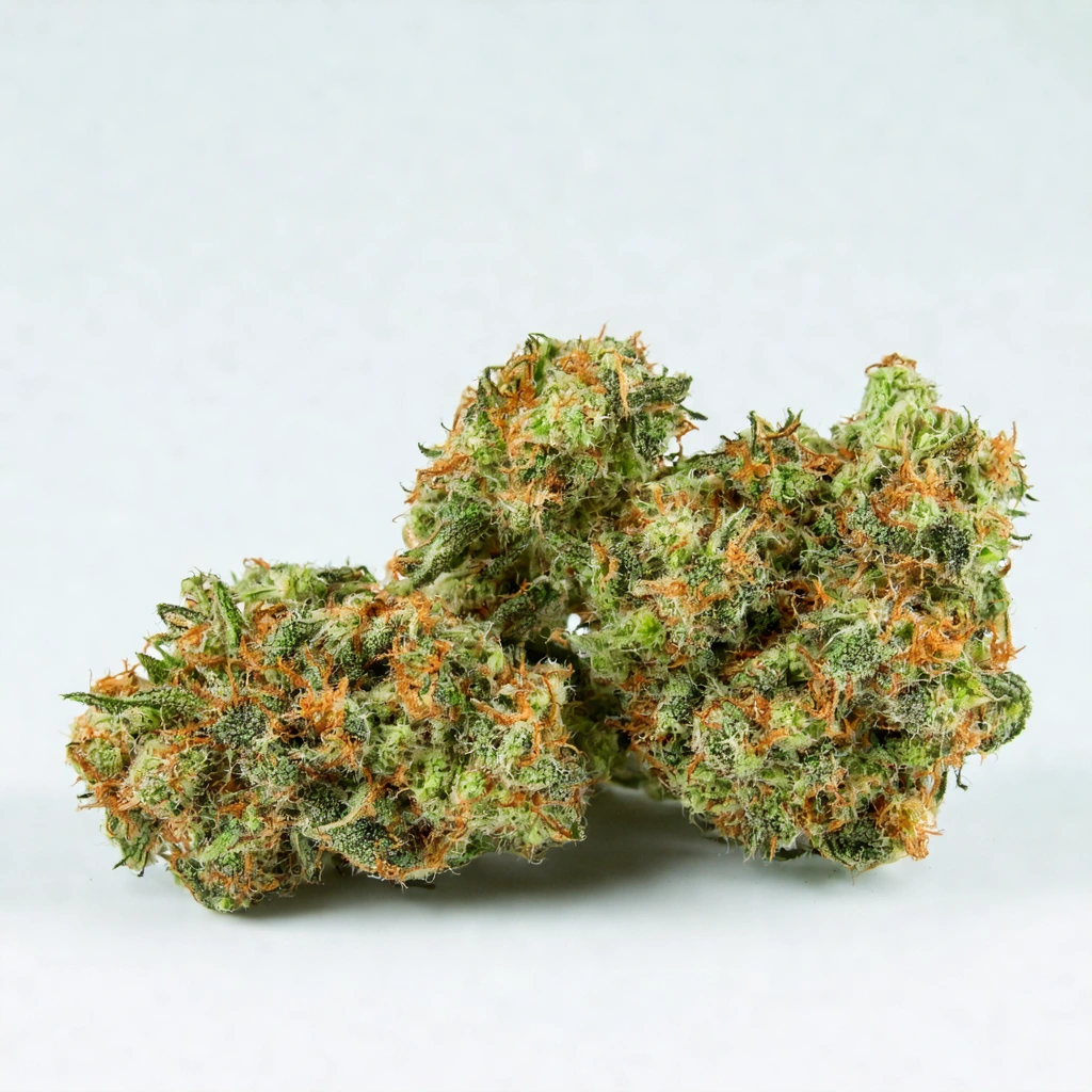 Emerald Jack Hybrid Cannabis Strain