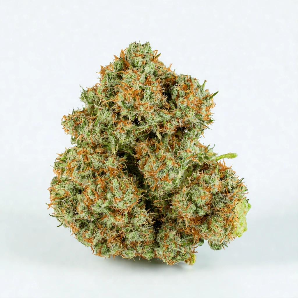 Face Off OG x Somango Hybrid Cannabis Strain