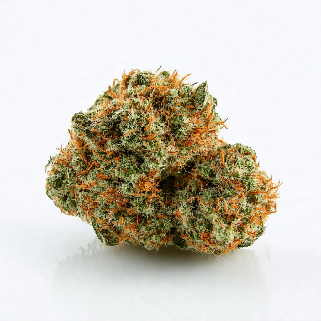 First 48 Hybrid Cannabis Strain