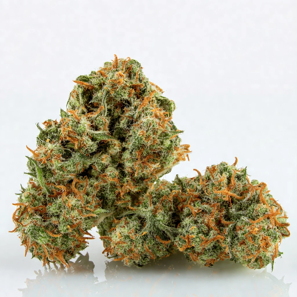 GasQueen Hybrid Cannabis Strain
