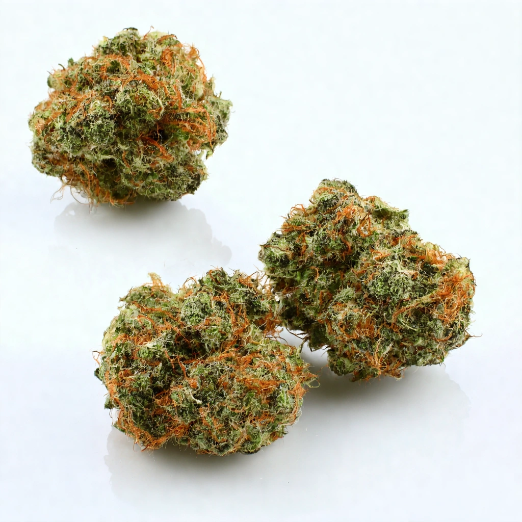 GH Cheese x Sour Banana Hybrid Cannabis Strain