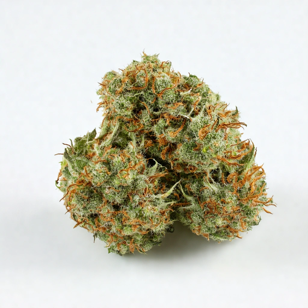 Ginger Jew Hybrid Cannabis Strain