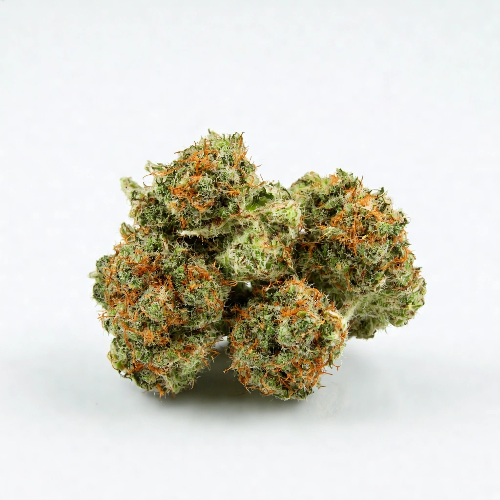 Glitter Biscuits Hybrid Cannabis Strain