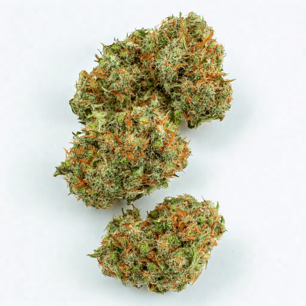 Great White Shark Hybrid Cannabis Strain