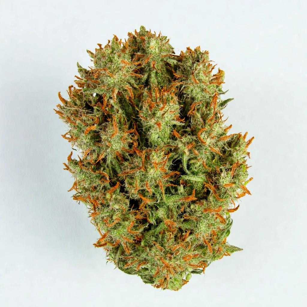 Hawaiian Sativa Cannabis Strain