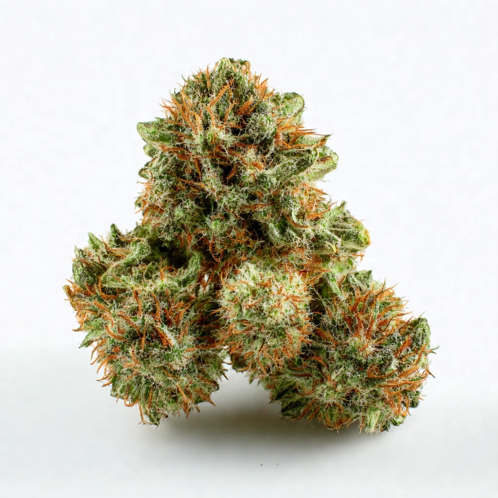 Hercules Hybrid Cannabis Strain