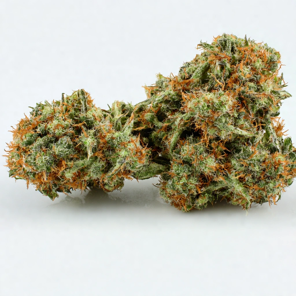 Honduras x A5 Haze Hybrid Cannabis Strain