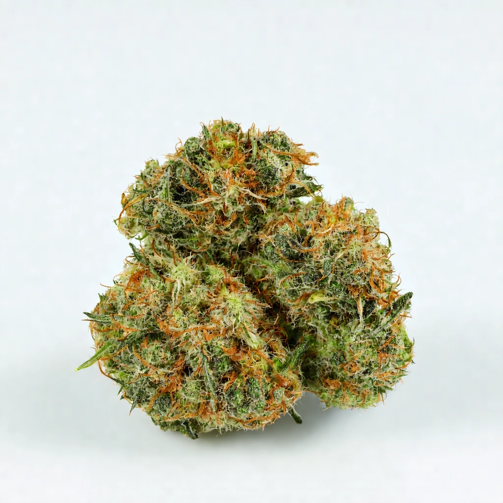 I-95 Hybrid Cannabis Strain