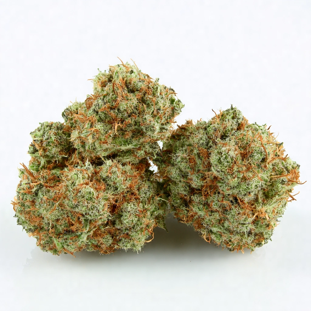 Kalashnikov Hybrid Cannabis Strain