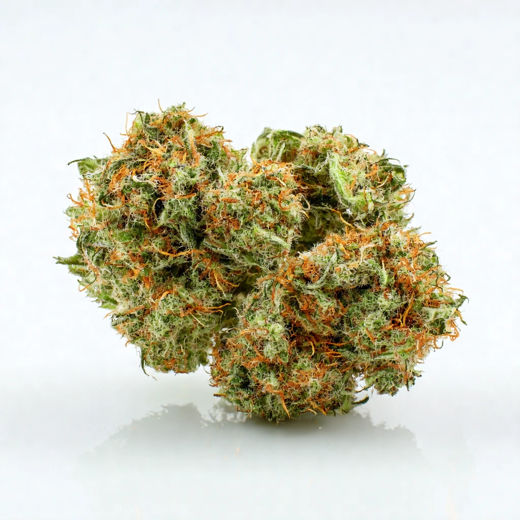 Lemon Orange sLime Sativa Cannabis Strain