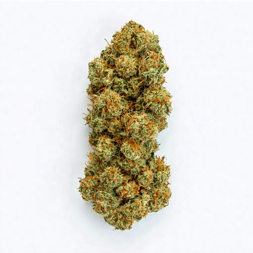 Mary Jane Hybrid Cannabis Strain