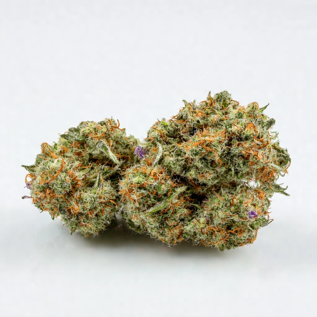 OG Shark Hybrid Cannabis Strain