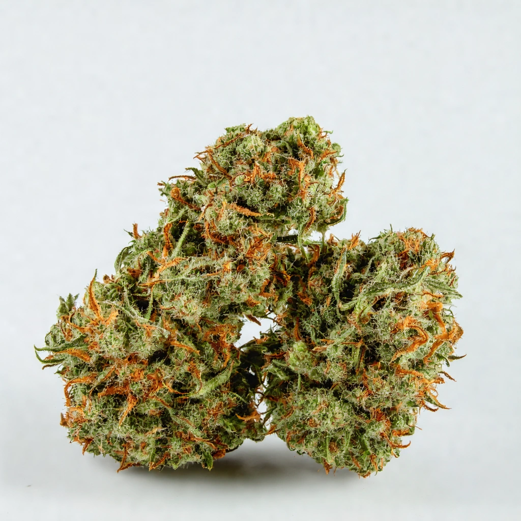 Orange Apricot Hybrid Cannabis Strain