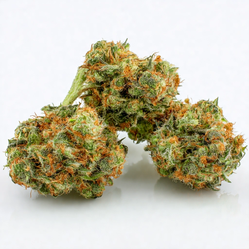Orange Slush Hybrid Cannabis Strain