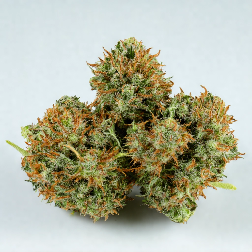 Pink Payton Hybrid Cannabis Strain