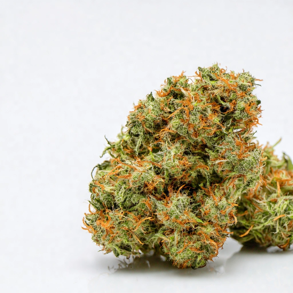 Sour Willie Sativa Cannabis Strain