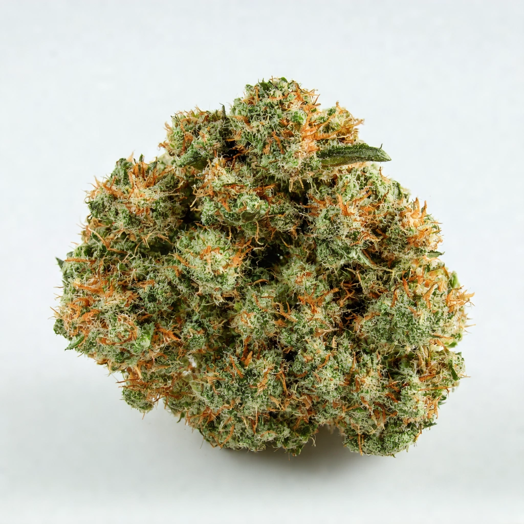 Tina Indica Cannabis Strain