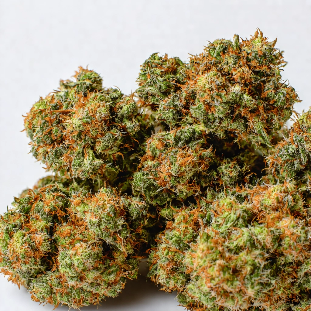 XXX OG Indica Cannabis Strain